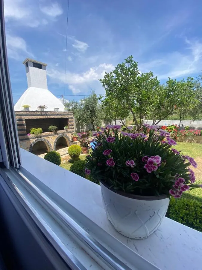 Maison Apartments Vlore Guest house
